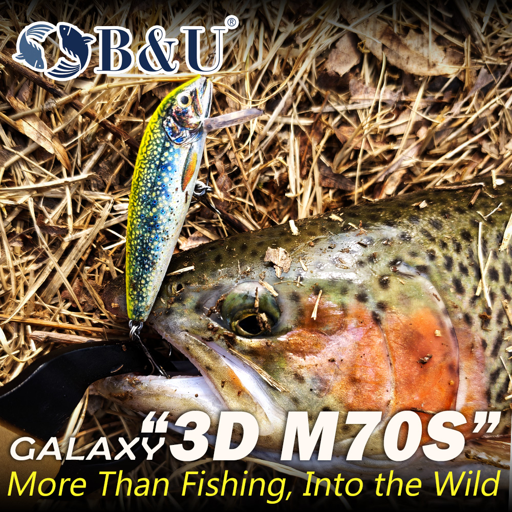 B&U Fishing Lures Sinking Minn – Fishing Lure Spinnerbait Bewertung und Preis