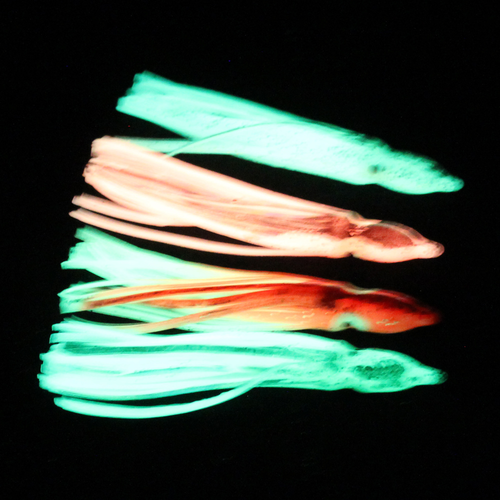 10 pcs soft light octopus squi – Fishing Lure Buzzbait Bewertung und Preis