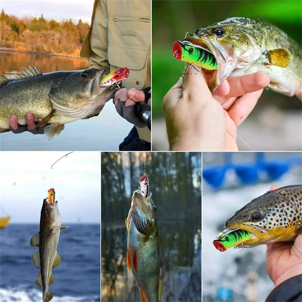5Pcs Popper Fishing Lures 3d E – Fishing Lure Popper Bewertung und Preis