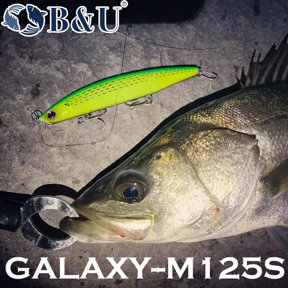 B&U 125mm Sinking Minnow Sea F – Fishing Lure Jerkbait Bewertung und Preis